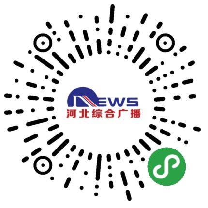 不經風雨，哪見彩虹——小程序的成長與啟示