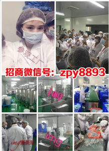 愛美肌、悅素堂與愛奈兒產品體驗及燕兒團隊代理模式解析